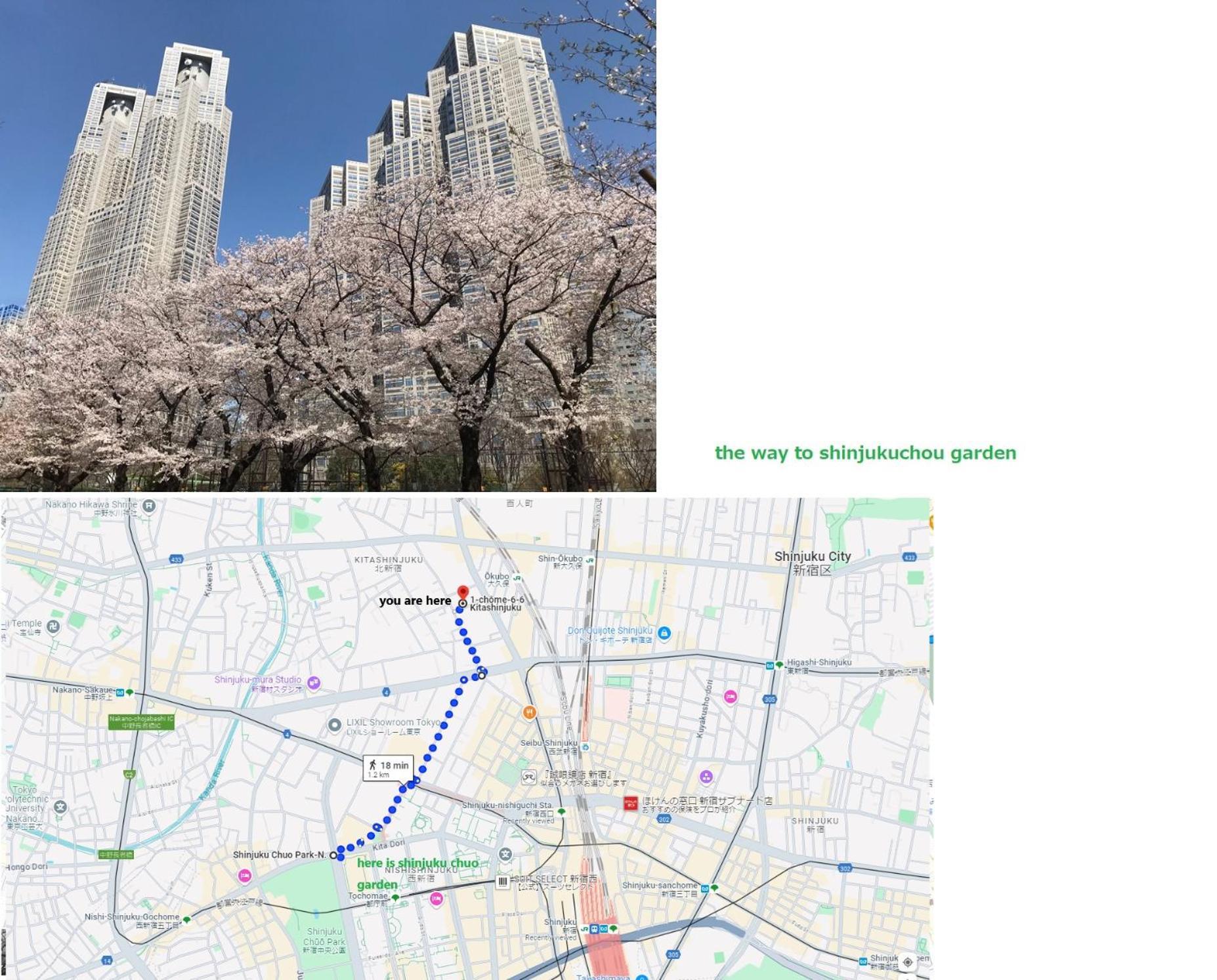 大久保駅から４分、貸切、韓国ダウン至近、新宿/歌舞伎町に徒歩圏内 、단독사용민박 Tōkyō Extérieur photo